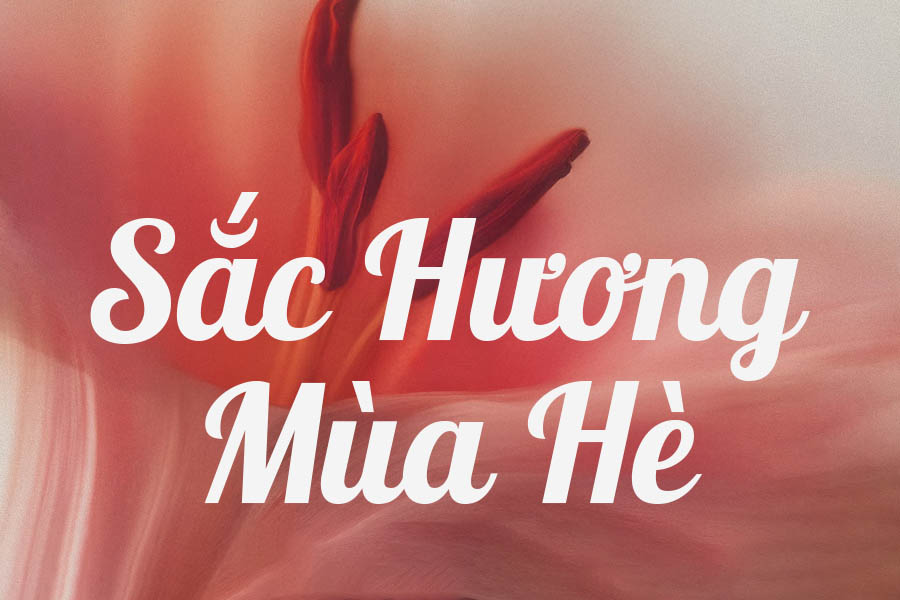 SVN Lobster – Font Chữ Viết Tay Đậm Cá Tính, Việt Hóa Chuẩn
